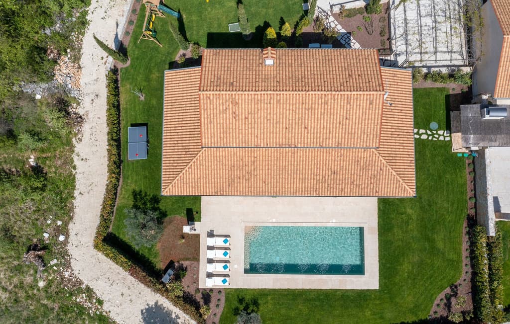 Bird perspective